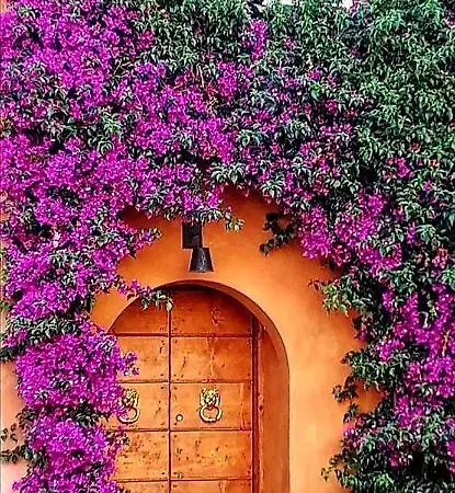 La Casa Nel Castello *